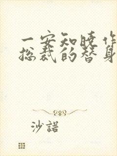 一安知晓作品:总裁的替身前妻