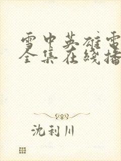 雪中英雄电视剧全集在线播放