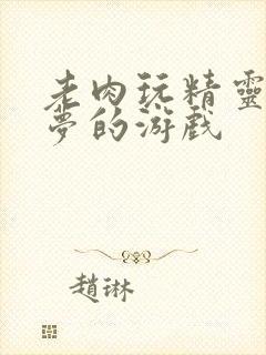 老肉玩精灵宝可梦的游戏