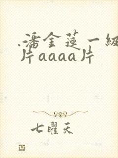 .潘金莲一级淫片aaaa片