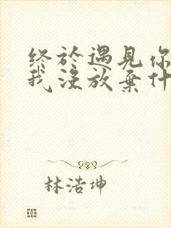 终于遇见你还好我没放弃什么歌