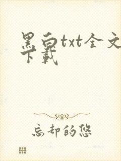 黑白txt全文下载