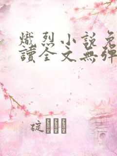 炽烈小说免费阅读全文无弹窗