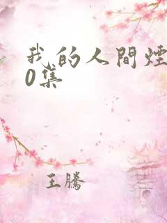 我的人间烟火40集