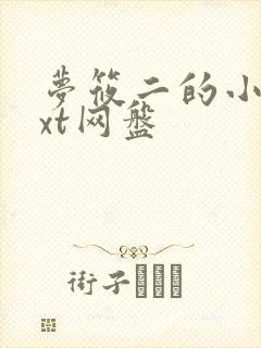 梦筱二的小说txt网盘