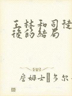 王林和司徒南最后的结局