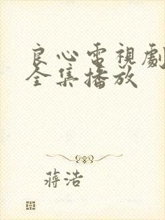 良心电视剧免费全集播放