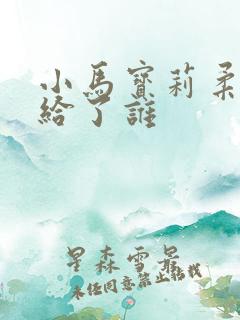 小马宝莉柔柔嫁给了谁