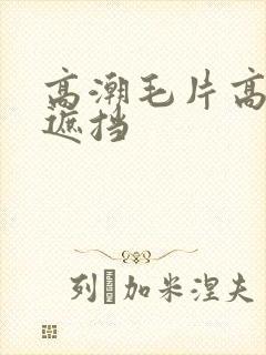 高潮毛片高清无遮挡