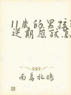 11岁的男孩叛逆期应该怎么教育