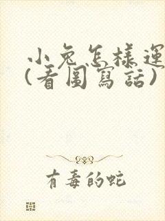 小兔怎样运南瓜(看图写话)