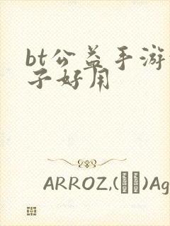 bt公益手游盒子好用