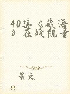 40集《藏海传》在线观看