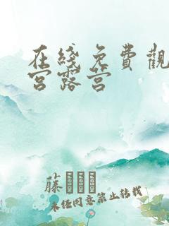 在线免费观看后宫露营