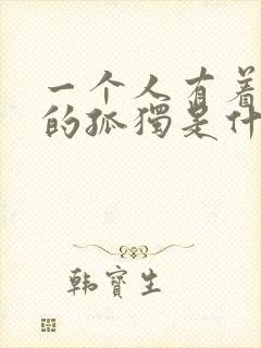 一个人有着孤单的孤独是什么歌