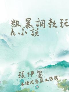 粗暴调教玩弄高h小说