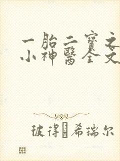 一胎二宝之弃妃小神医全文免费阅读