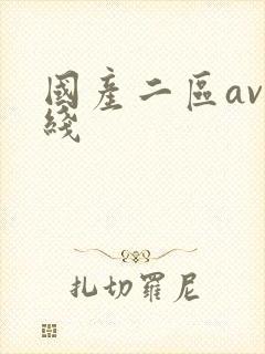 国产二区av在线