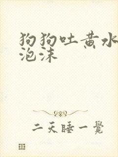 狗狗吐黄水带点泡沫