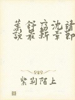 叶舒窈沈靖川小说最新章节免费阅读