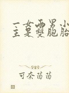 一女两男小说男主是双胞胎