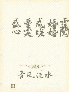 盛爱成婚霍少的心尖暖婚阅读