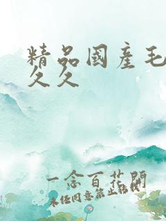 精品国产毛片久久久