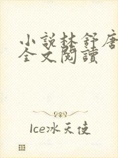 小说林舒唐亦琛全文阅读