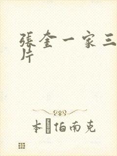 张奎一家三口照片