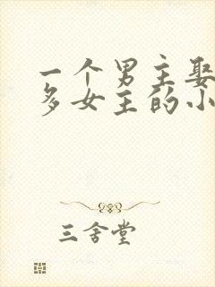 一个男主娶了很多女主的小说