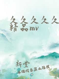 久久久久久国产精品mv