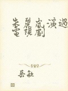 朱丽岚演过哪些电视剧