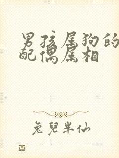 男孩属狗的最佳配偶属相