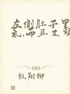 左侧肚子里有胀气,而且又频繁放屁