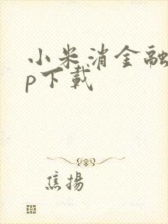 小米消金融app下载