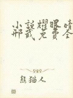 小说耀眼晴也/邢武免费全本阅读