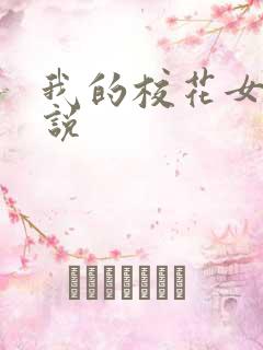 我的校花女友小说