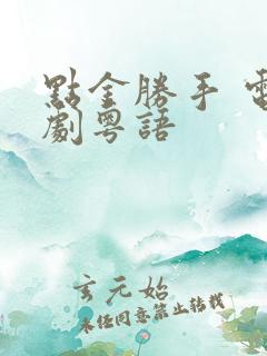 点金胜手 电视剧粤语