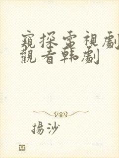 窥探电视剧在线观看韩剧