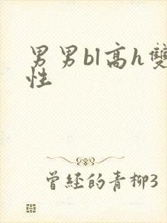 男男bl高h双性
