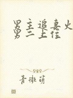 男主追妻火葬场男二上位