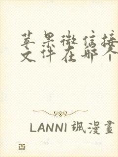 苹果微信接收的文件在哪个文件夹