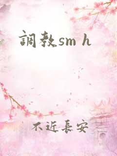 调教sm h