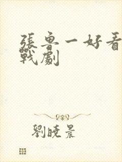 张鲁一好看的谍战剧