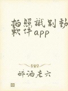 拍照识别动植物软件app