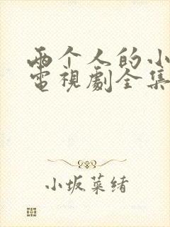 两个人的小森林电视剧全集免费观看