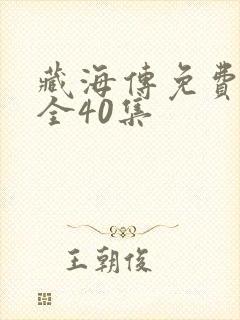 藏海传免费下载全40集