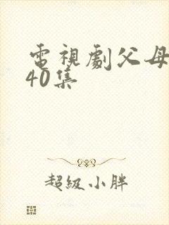 电视剧父母爱情40集