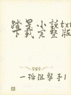 踏星小说txt下载完整版