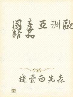 国产亚洲欧美的精品